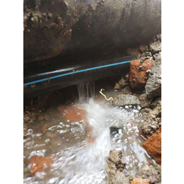 苏州园区湖东主营管道漏水检测与维修消防管