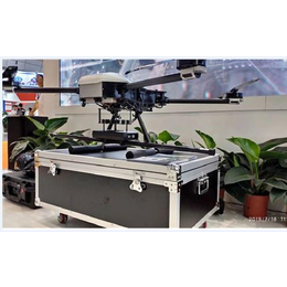 航磁r4小型无人机航空磁力仪测量系统