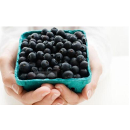 蓝莓低聚肽复合饮品贴牌漳州绿优品