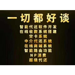 代还系统开发通道对接新年优惠价格史低15号之前限50个名额 