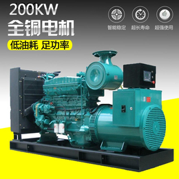 东风康明斯250KW千瓦柴油发电机组三项纯铜全自动发电机