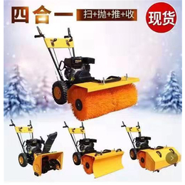 丰雷益机械(在线咨询)-青海扫雪机-小型扫雪机