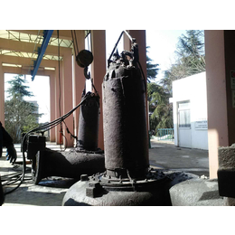 无锡市污水泵维修 潜污泵修理厂家电话缩略图