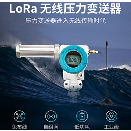 LORA无线压力变送器-传感器ZYB11xx缩略图