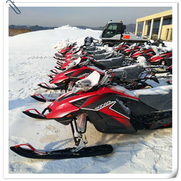 全新国产造雪机 雪地越野摩托车 雪地车 雪地游乐