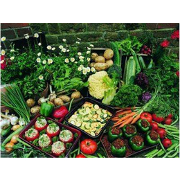 蔬菜配送服务-蔬菜配送-康有农业蔬菜配送