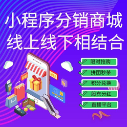 APP分销商城系统线*店管理系统