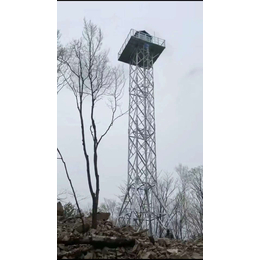 供应青海内蒙草原林业监控塔