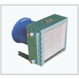 广州翅片管式空气冷却器 FL-35空气散热器