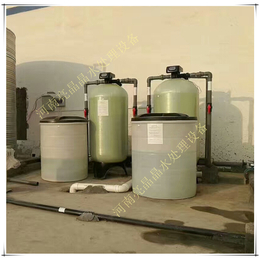 淮阳现货出售每小时10吨热水锅炉软化水设备 全自动软水处理器