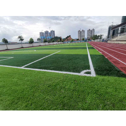 广西恭城中学足球场人造草坪施工进度