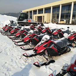 雪地速摩托车雪地摩托生产厂家儿童雪地摩托售价