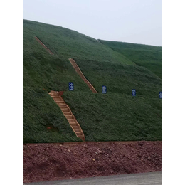 河南边坡恢复工程技术喷播绿化土壤基质添加剂