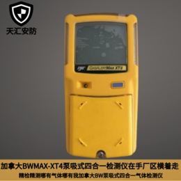 原装加拿大BWMAX-XT4船级认证 泵吸式四合一气体检测仪缩略图