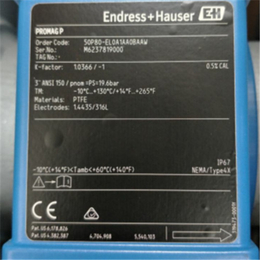恩德斯豪斯E+H光度计套件CA71AM-C