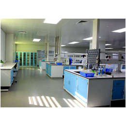 安装微生物实验室 万级净化无尘工程服务 博泰