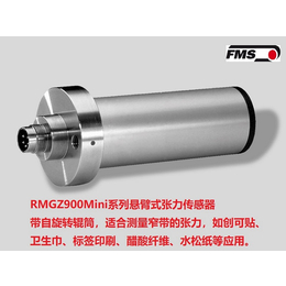 瑞士FMS 悬臂张力传感器 RMGZ900MINI 缩略图