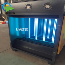 UV光氧净化器烤漆房处理设备除臭除味净化器缩略图