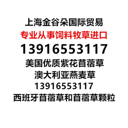 美国苜蓿草 美国优级苜蓿草上海港到货 蛋白20以上