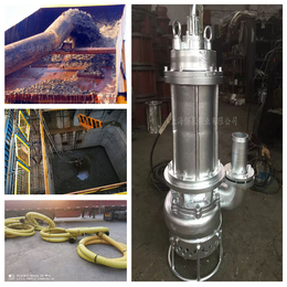 耐酸碱化工泵 全铸造排浆泵 不锈钢无堵塞抽浆泵 上海工厂 
