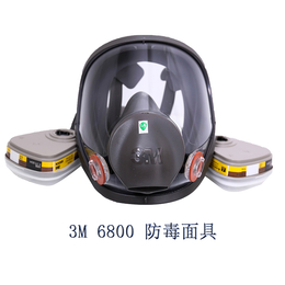 3M6800防毒面具罩