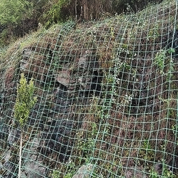黄石岗植物攀爬网爬藤网山体绿叶挂网绿色钢塑土工格栅