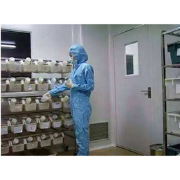 动物房微生物实验室装修 动物房无菌检测 实验室设计 博泰