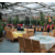 大棚生态餐厅设计 山东玻璃温室大棚缩略图3