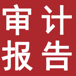 会计师事务所出具民非年检审计报告园培训机构审计