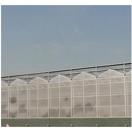 阳光板温室大棚价格 连栋玻璃温室供应