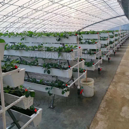 草莓栽培槽 立体种植槽 草莓立体种植槽 英耐尔