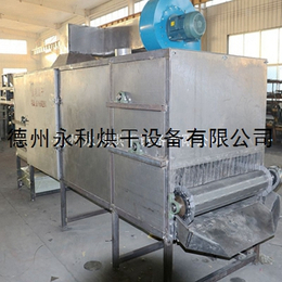 生产促销流水线式稻谷烘干机 不锈钢食品干燥设备