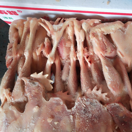 供应厂家冷冻鸡肉产品蛋鸡老母鸡吨位批发量大价优