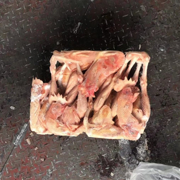 板冻579大公鸡冻鸡生产厂家整鸡调理调味食材原料缩略图