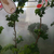 天津雾森系统喷雾机价格园林景观造雾缩略图1