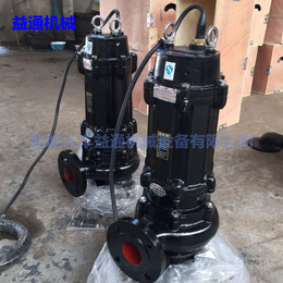 贵州排污泵100XWQ65-12-4上升排污泵