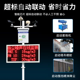 北京RS-ZSYC-M噪声扬尘主机厂家电话