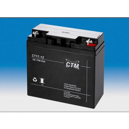 德国CTM蓄电池CT20-6进口免维护电池