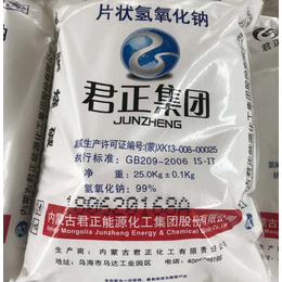 宣丰君正宜化食品级工业级片碱的价格 片状代理