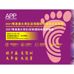 2021粤港澳大湾区深圳国际印刷技术设备展缩略图
