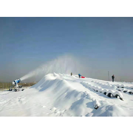 造雪机出租出售雪花人工造雪雪花机降价了