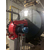 焦作低氮燃烧器改造工业蒸汽锅炉锅炉低氮燃烧机30毫克缩略图2