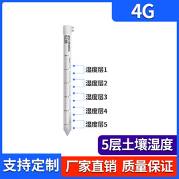 RS-3W3S-4G-TR-3 济南仁智测控技术有限公司