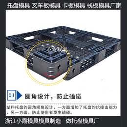 台州加工大型1210注塑地板模具供应商