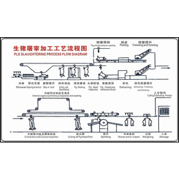 杀猪设备价格-胶州杀猪设备-特恩特