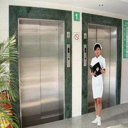 钜坤建设*-惠州酒店电梯销售-销售酒店传菜电梯井道