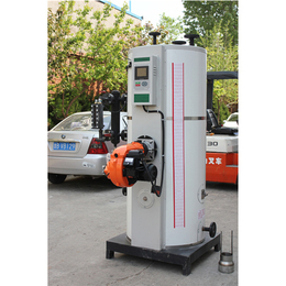 隆鑫热能设备-燃油蒸汽发生器-小型燃油蒸汽发生器