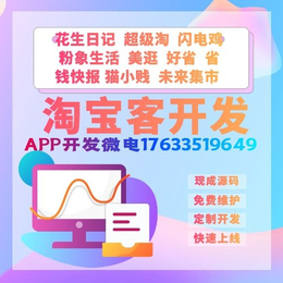 类似*生活APP开发