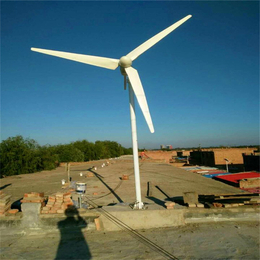 蓝润1KW风力发电机组迎风调整适用于任何场所