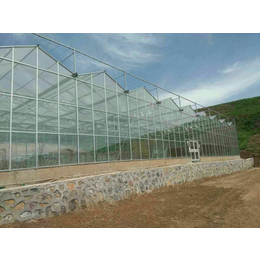 承接长沙玻璃智能温室大棚 薄膜连栋温室大棚